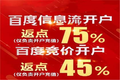 SEM服务公司助力企业流量增长案例